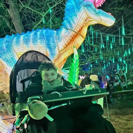 Light Safari Beekse Bergen