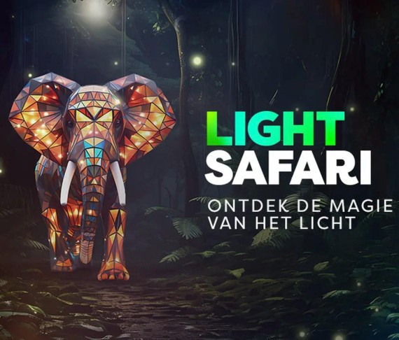 Light Safari