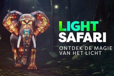 Light Safari Beekse Bergen